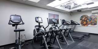 The Wilson Gallery 15