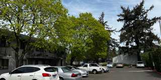 Willamette Green Apartments Gallery 21