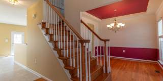 341 BULLSKIN Street Gallery 13