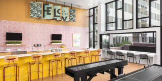 Fellow at Fitz Gallery 1