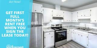 437 Annie Street Gallery 1