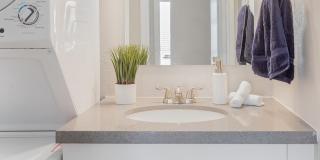 Rise Camelback Gallery 26