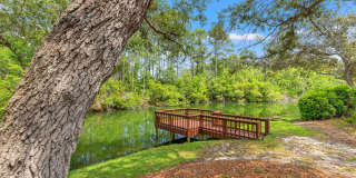 1224 Deerwood Drive Gallery 6