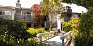 Shadowbrook Apartments Gallery 17