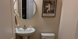 909 Crystal Brook Cove Gallery 9