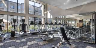 Windsor Burnet Gallery 32