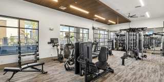 The Aster at Mountain Vista - BRAND NEW Gallery 25