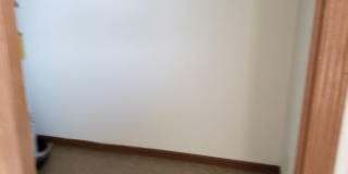 Sycamore Place Gallery 39