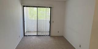 34153 Emily Way Gallery 20