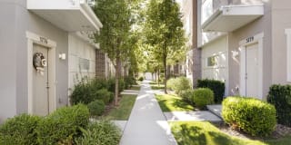 Olympus at The District Gallery 13