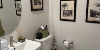 4140 Yucca Bloom Street Gallery 29