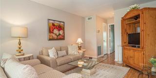 43 Vis Gdns Trl Gallery 7
