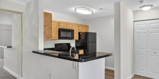 The Cloisters Gallery 26