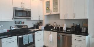 3 Sayward Pl. Gallery 4