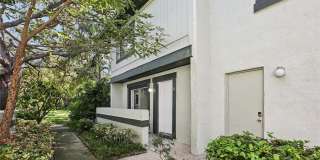 2906 LICHEN Lane Gallery 3