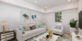 737 PINE Gallery 1