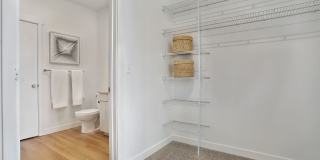 Alvera at The Meadows Gallery 21