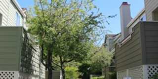 Amazing 2 bed 2.5 bath Townhome! Gallery 1