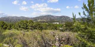 9426 Carlynn Place Gallery 32