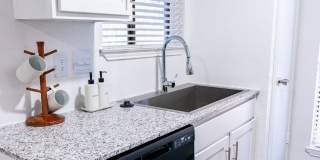 Lyv Austin Gallery 26