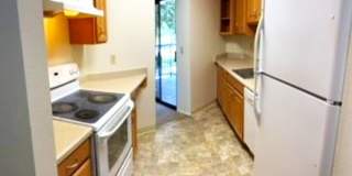 Great Condo in Desirable Fremont Gallery 3