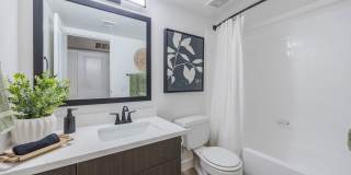 Sage at Green Valley Gallery 6