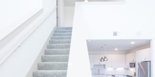 Magnolia off Henderson Gallery 6