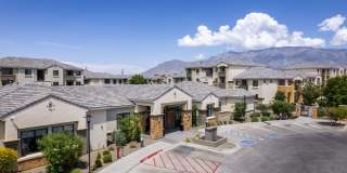 Olympus Alameda Gallery 46