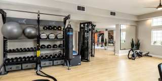 Ava Newport Gallery 9