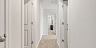 Eagle Chase Gallery 13