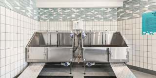 The Vivien Gallery 80