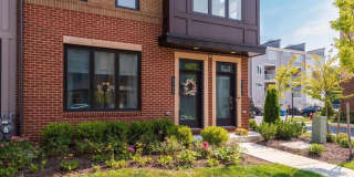43190 MONGOLD Square Gallery 1