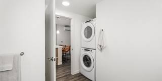 Ellis at Bel-Red Gallery 12