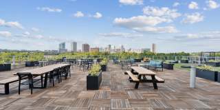 South Falls Tower Gallery 4