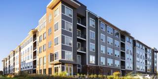 Axiom Cabin Branch Gallery 15