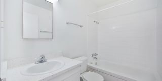 The Canopy Gallery 17