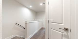 Ross Lane Gallery 16
