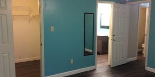 Located in the Heart of Havelock! Gallery 13