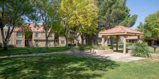 Cinnamon Tree Gallery 3