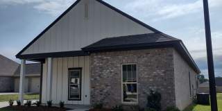 843 Long Leaf Circle Brandon, MS Gallery 5