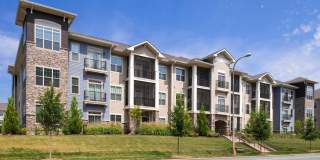 Silver Collection at The Park Gallery 1