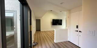 6 Blackswan Gallery 3