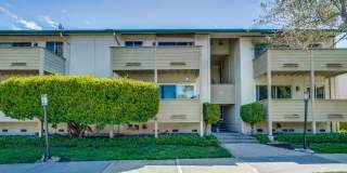 781 N Fair Oaks Avenue Gallery 1