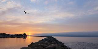 The Ultimate Coastal Escape: 3 Bedrooms with Panoramic Ocean Views in Gated Waterford Pointe! Gallery 52