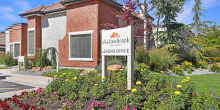 Shadowbrook Gallery 8