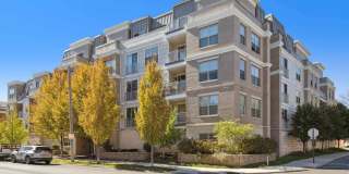 The Jerome Gallery 15