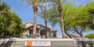 Avana Coronado Gallery 32