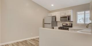 1331 Frost Flower Drive Gallery 7