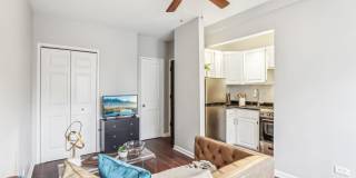 Oliver on LaSalle Gallery 6