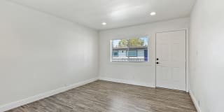 Palm Court Gallery 14